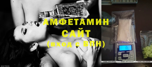 мет Алексин