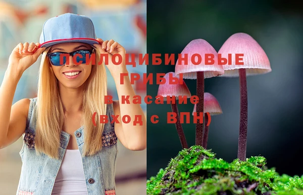 мет Алексин