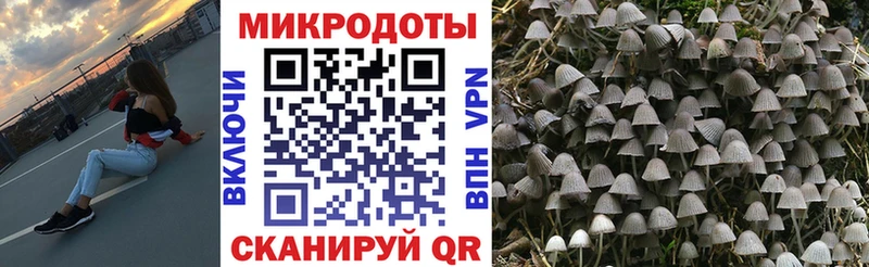 KRAKEN ССЫЛКА  Сельцо  Псилоцибиновые грибы MAGIC MUSHROOMS 