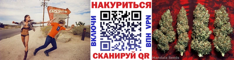 Каннабис семена  Сельцо 